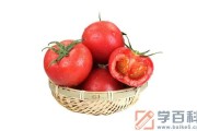 普罗旺斯西红柿和普通西红柿怎么区分