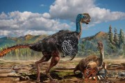 美国发现了一只活恐龙是真的吗
