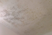 天花板发霉直接刮一遍腻子粉可以吗